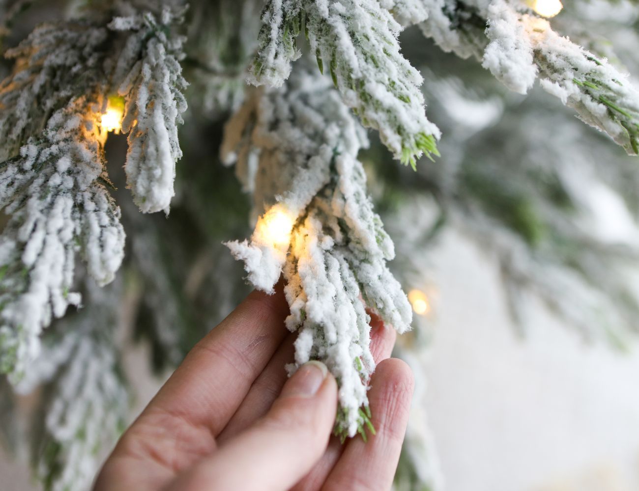 Увеличить фотографию