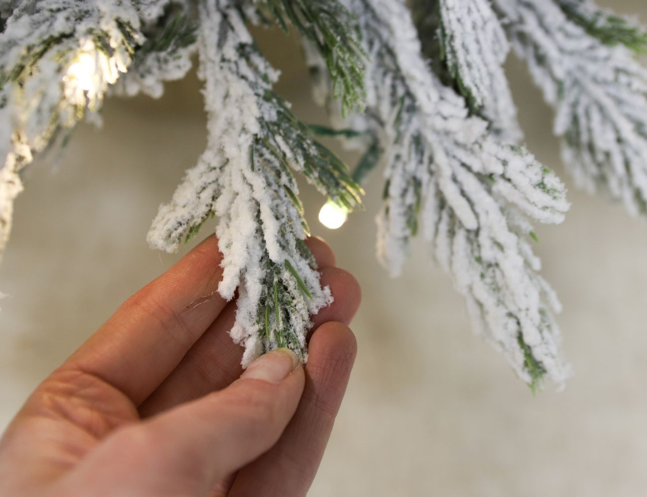 Увеличить фотографию