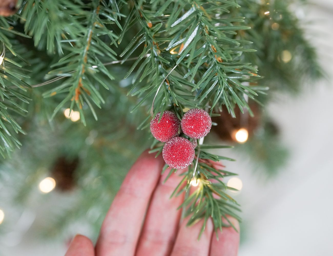 Увеличить фотографию