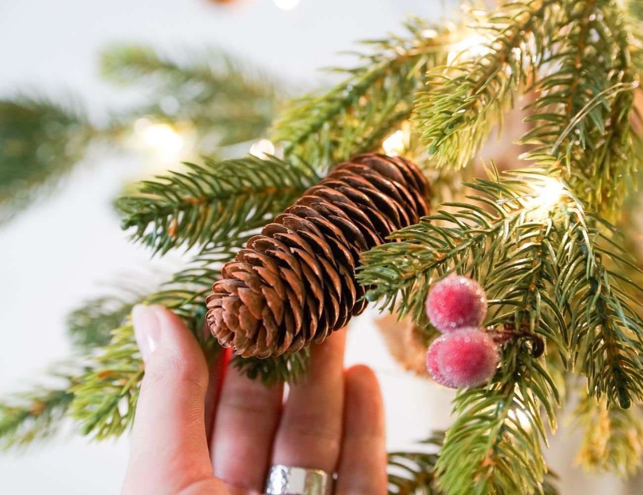 Увеличить фотографию