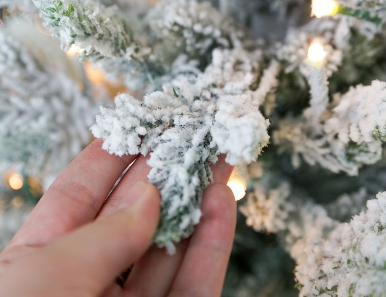 Увеличить фотографию