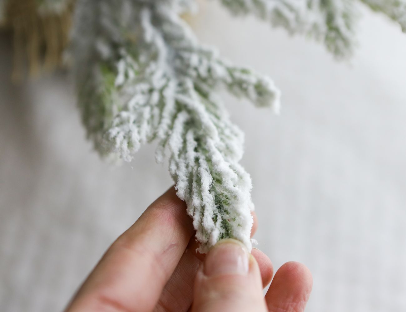 Увеличить фотографию