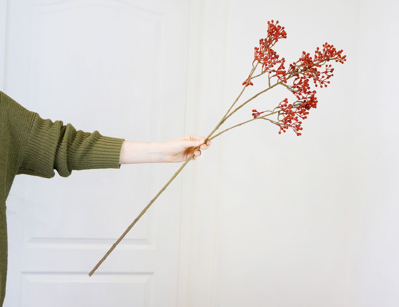 Увеличить фотографию