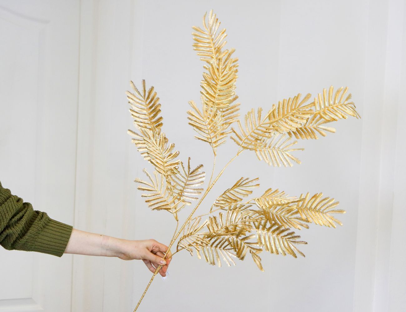 Увеличить фотографию