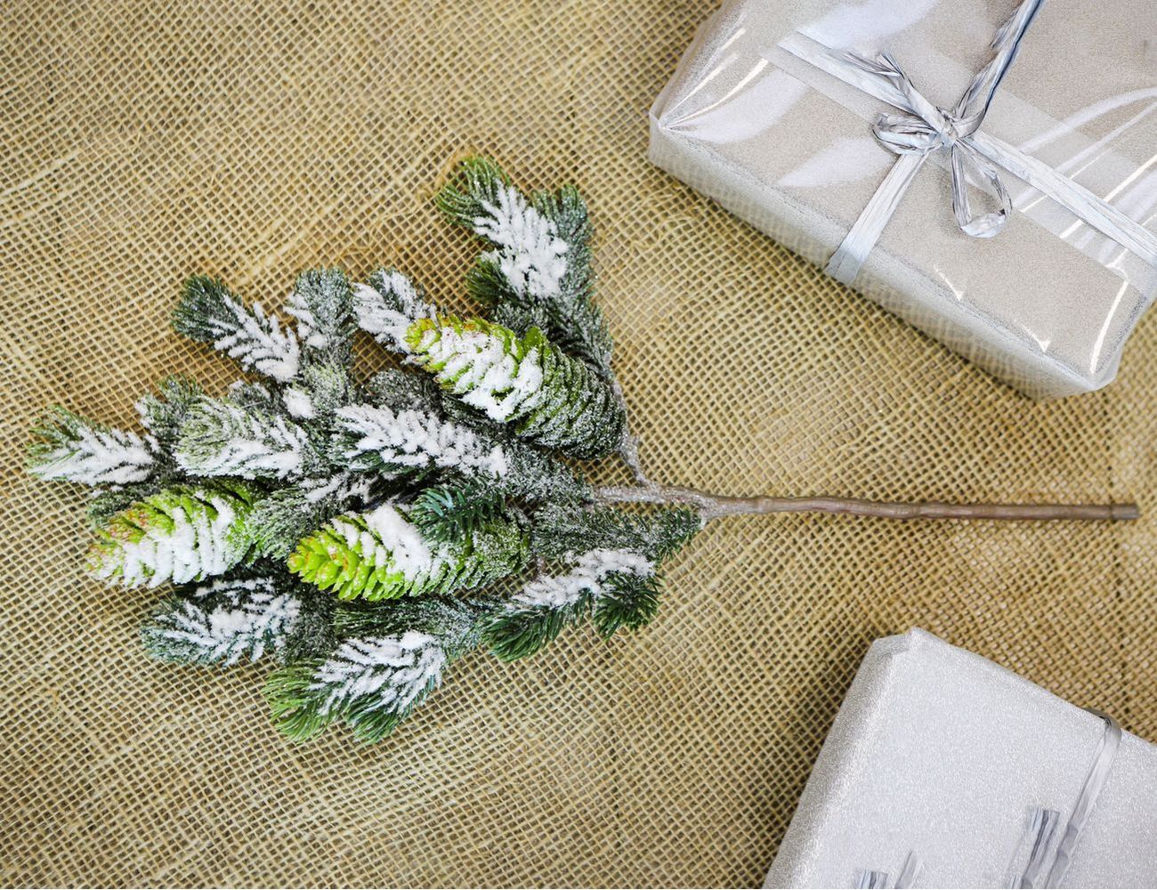 Увеличить фотографию