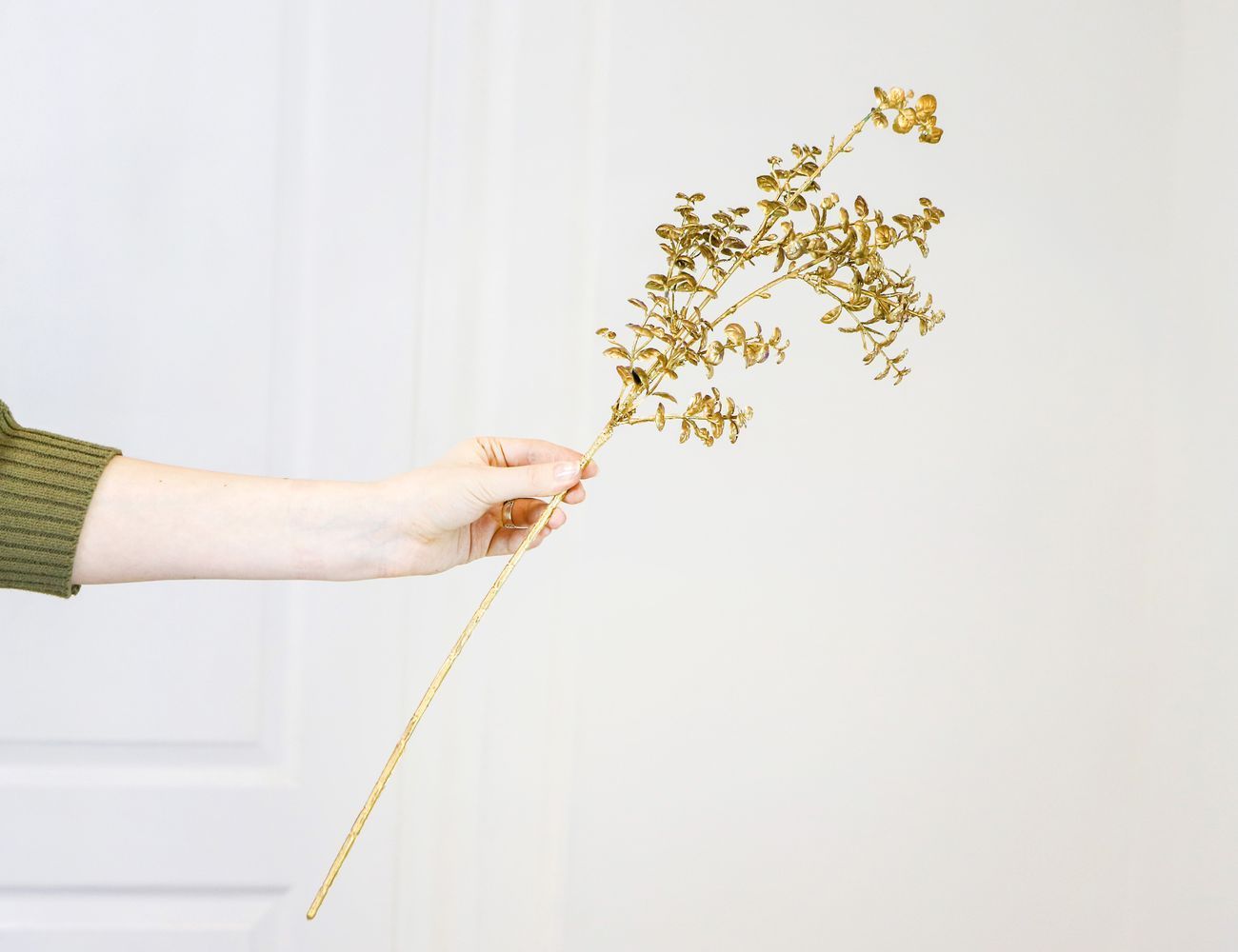 Увеличить фотографию