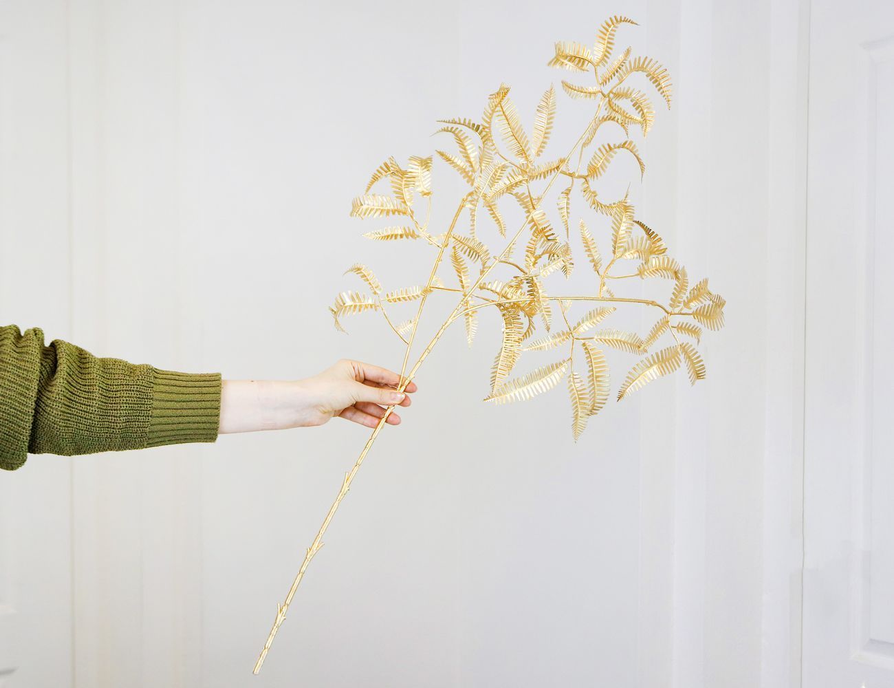 Увеличить фотографию