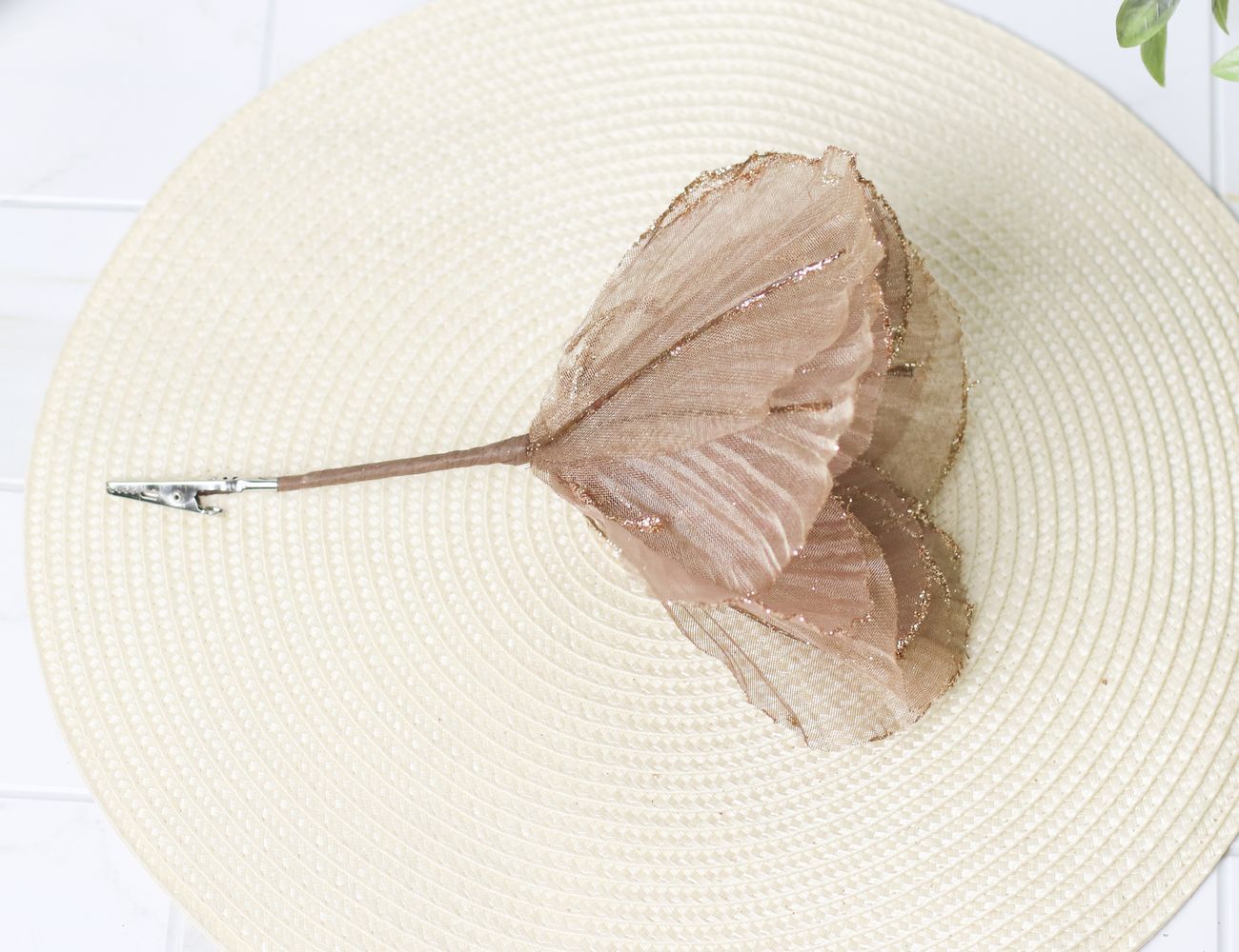 Увеличить фотографию