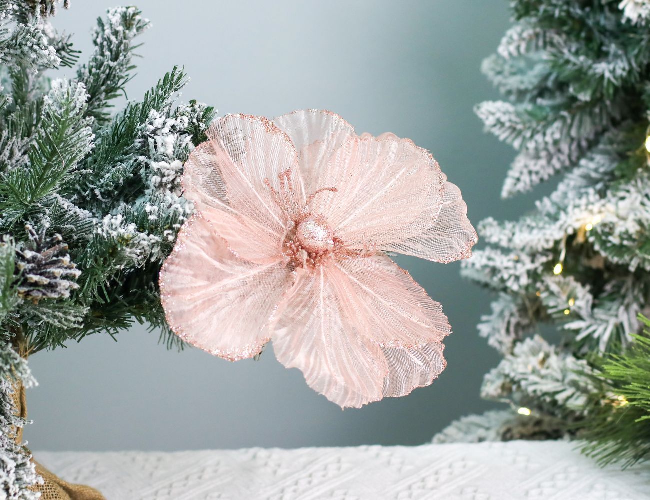 Увеличить фотографию