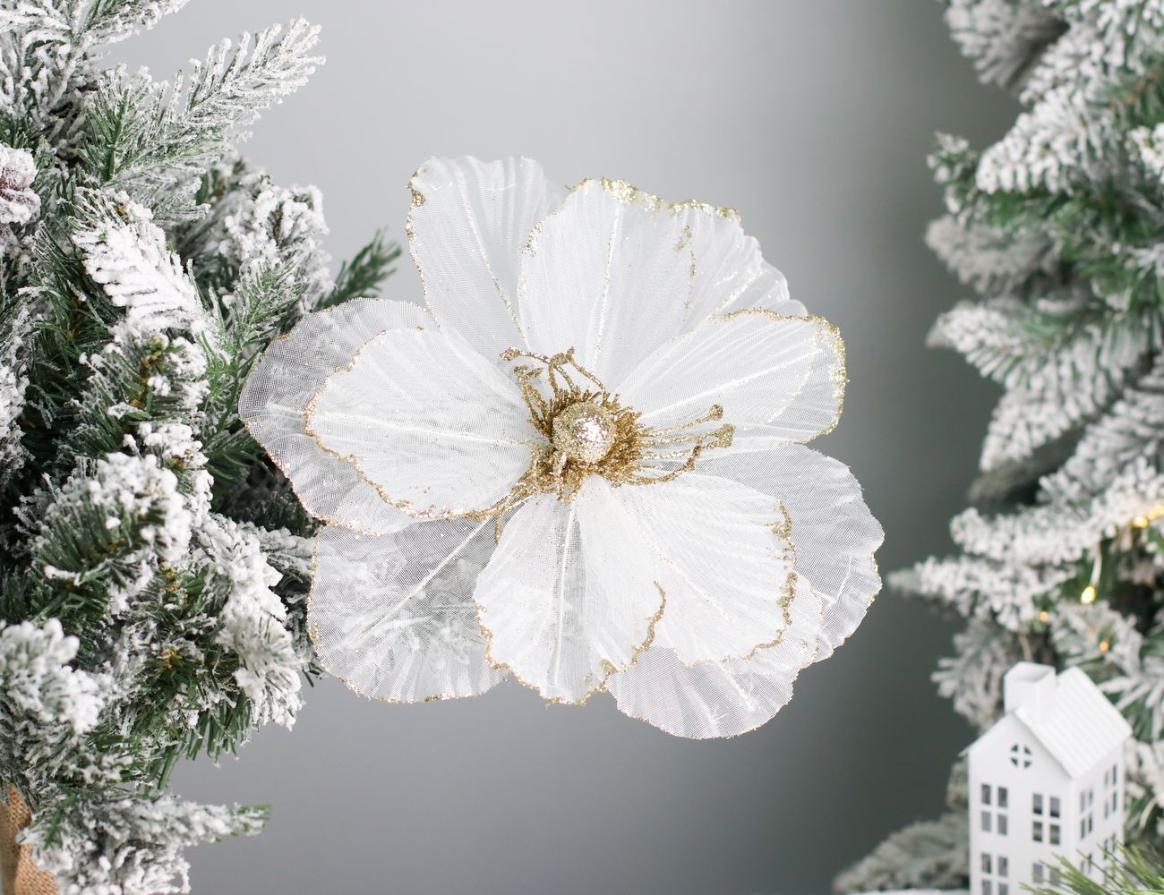 Увеличить фотографию