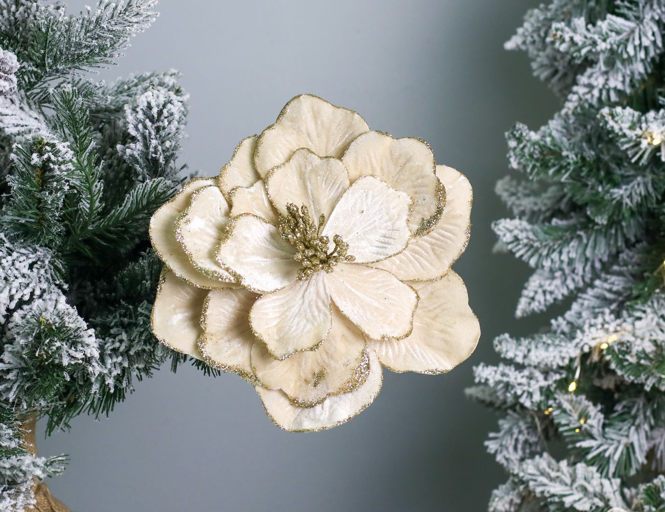 Увеличить фотографию