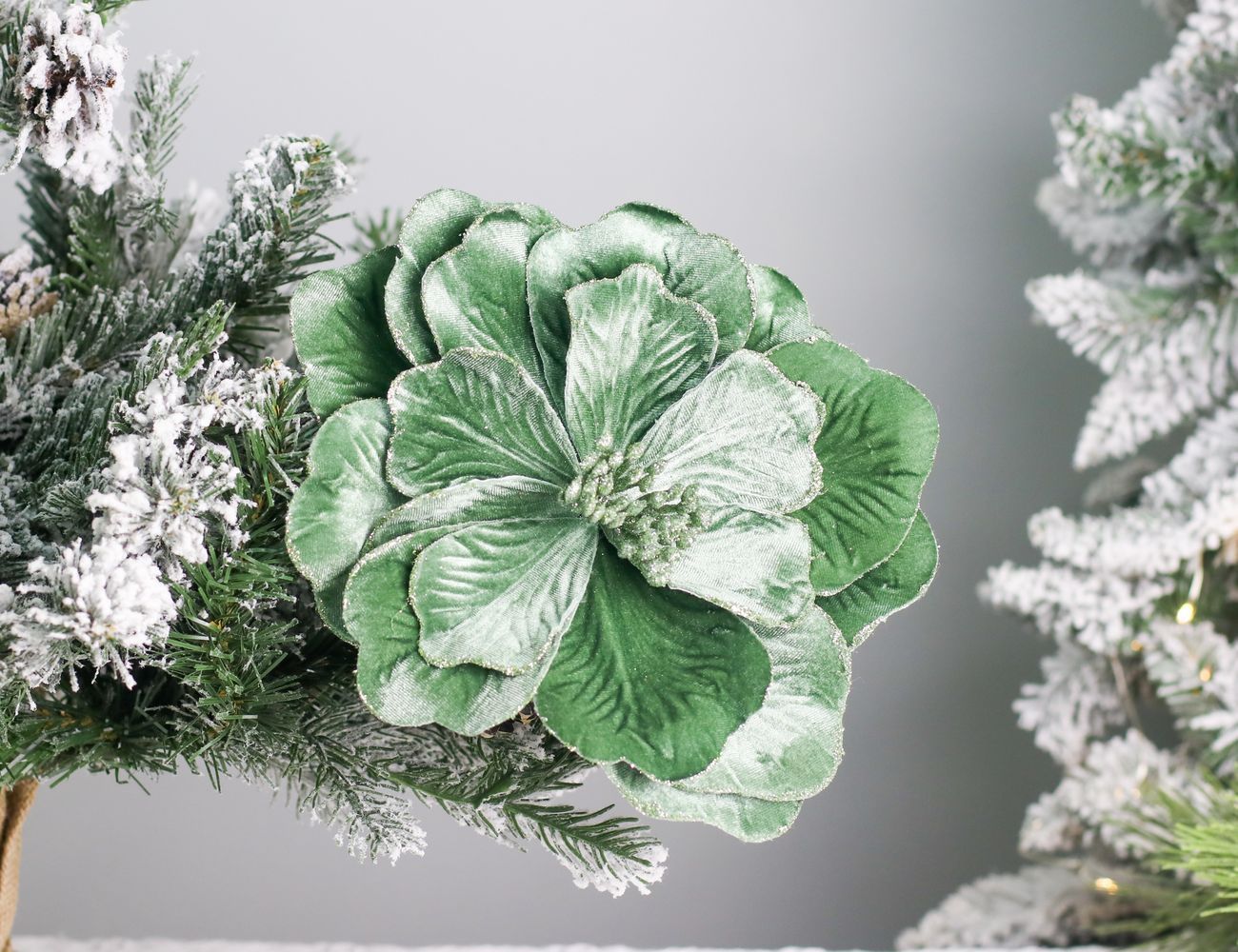 Увеличить фотографию