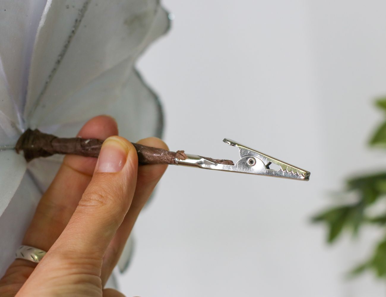 Увеличить фотографию