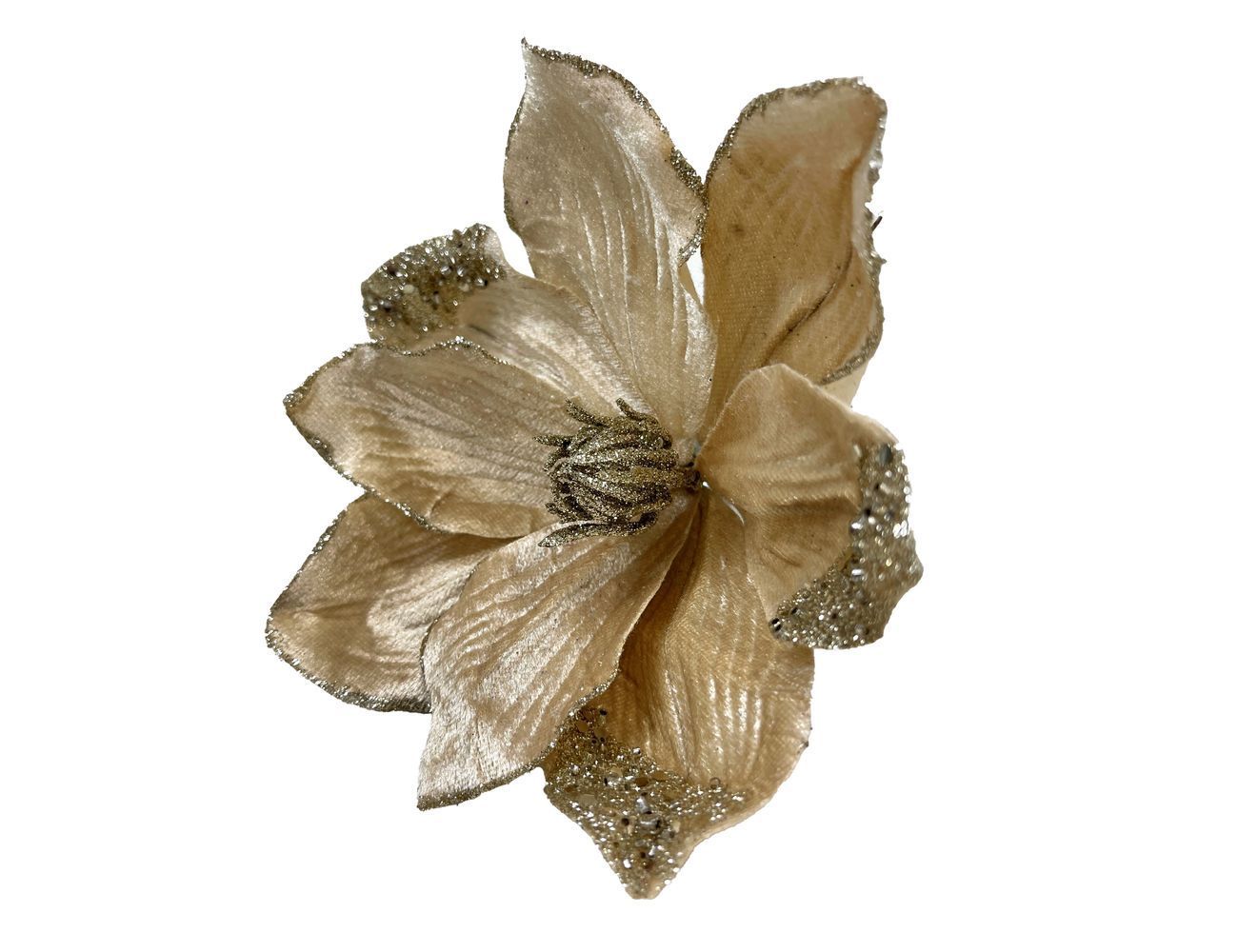 Увеличить фотографию