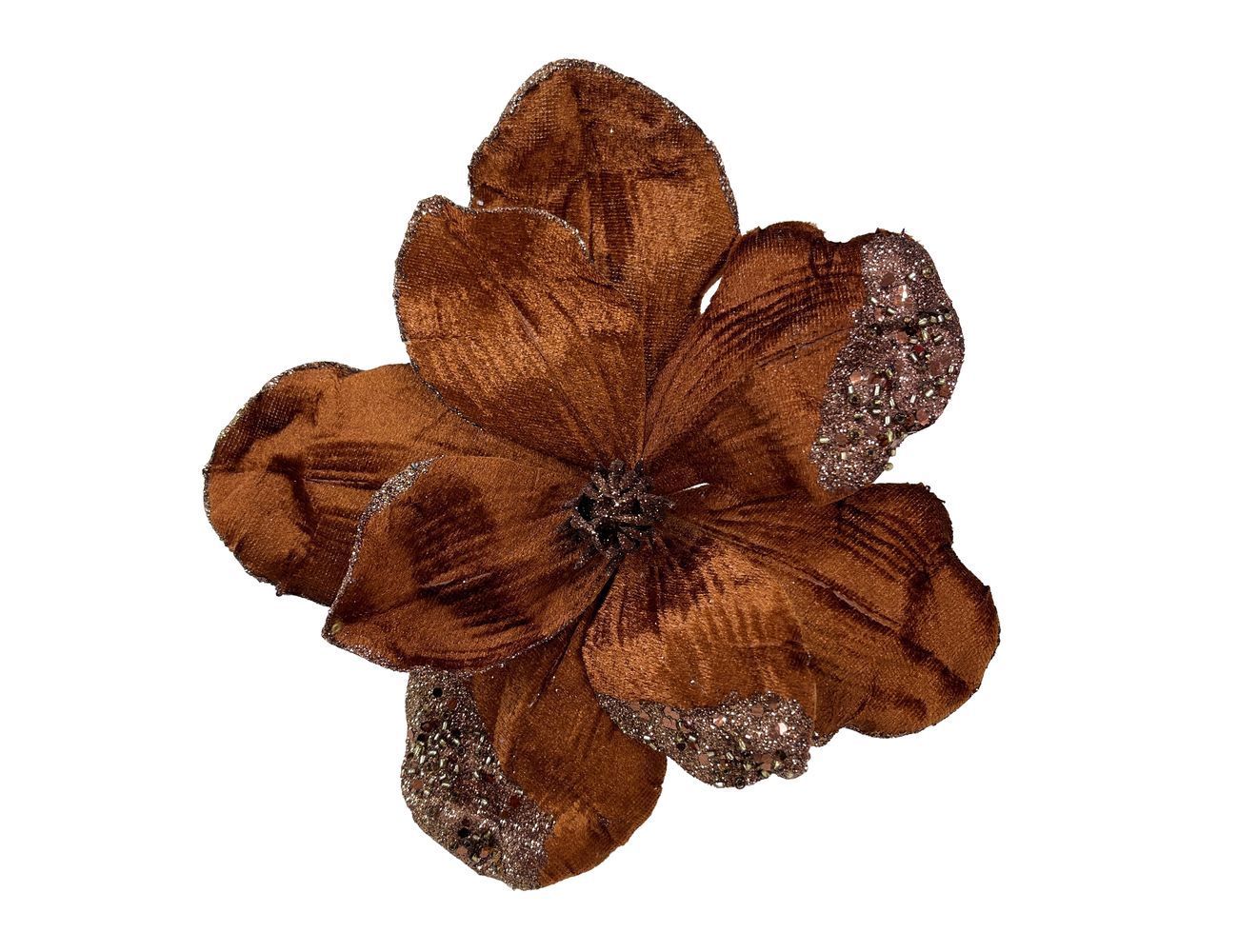 Увеличить фотографию