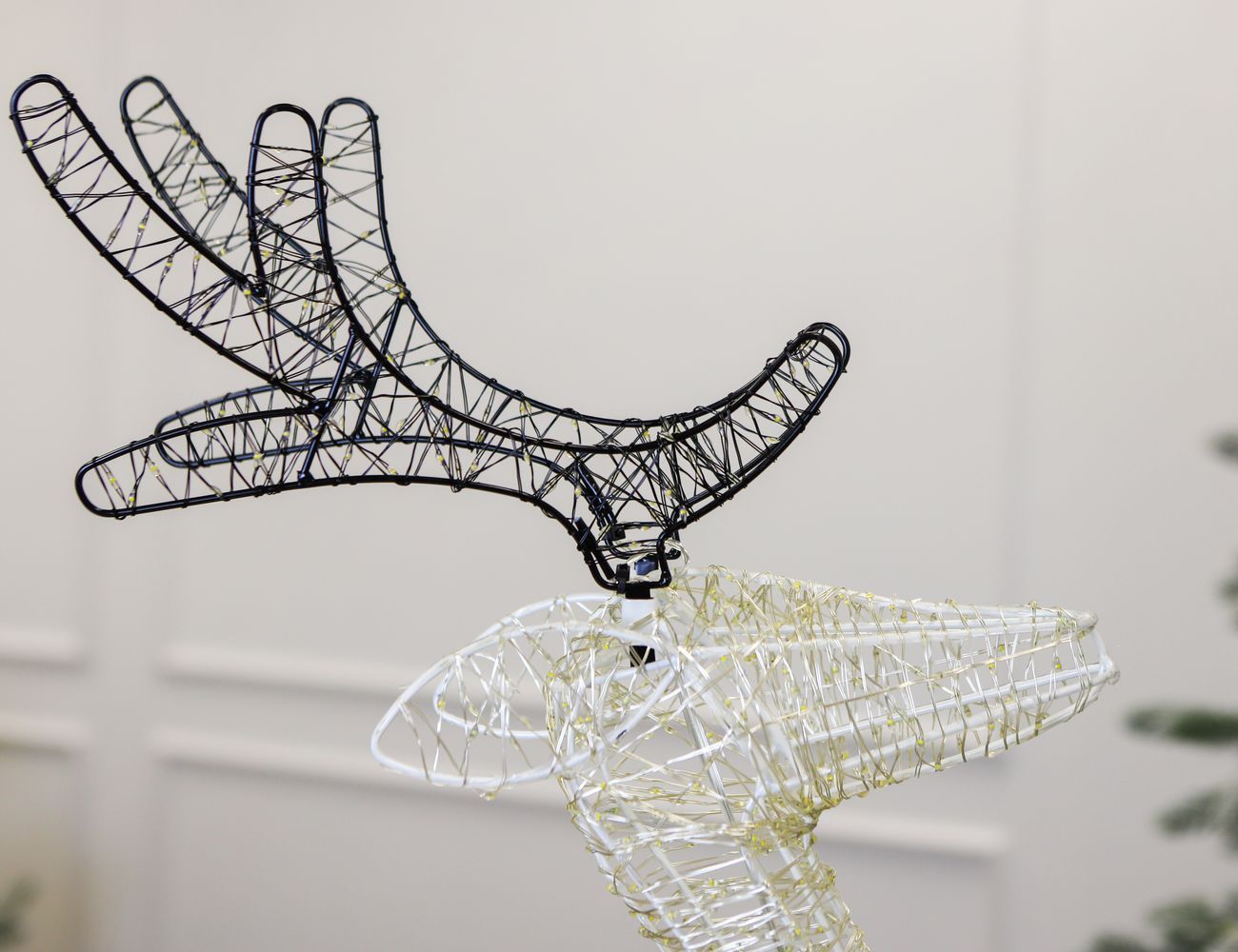 Увеличить фотографию