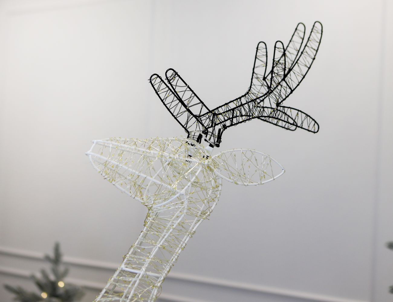 Увеличить фотографию