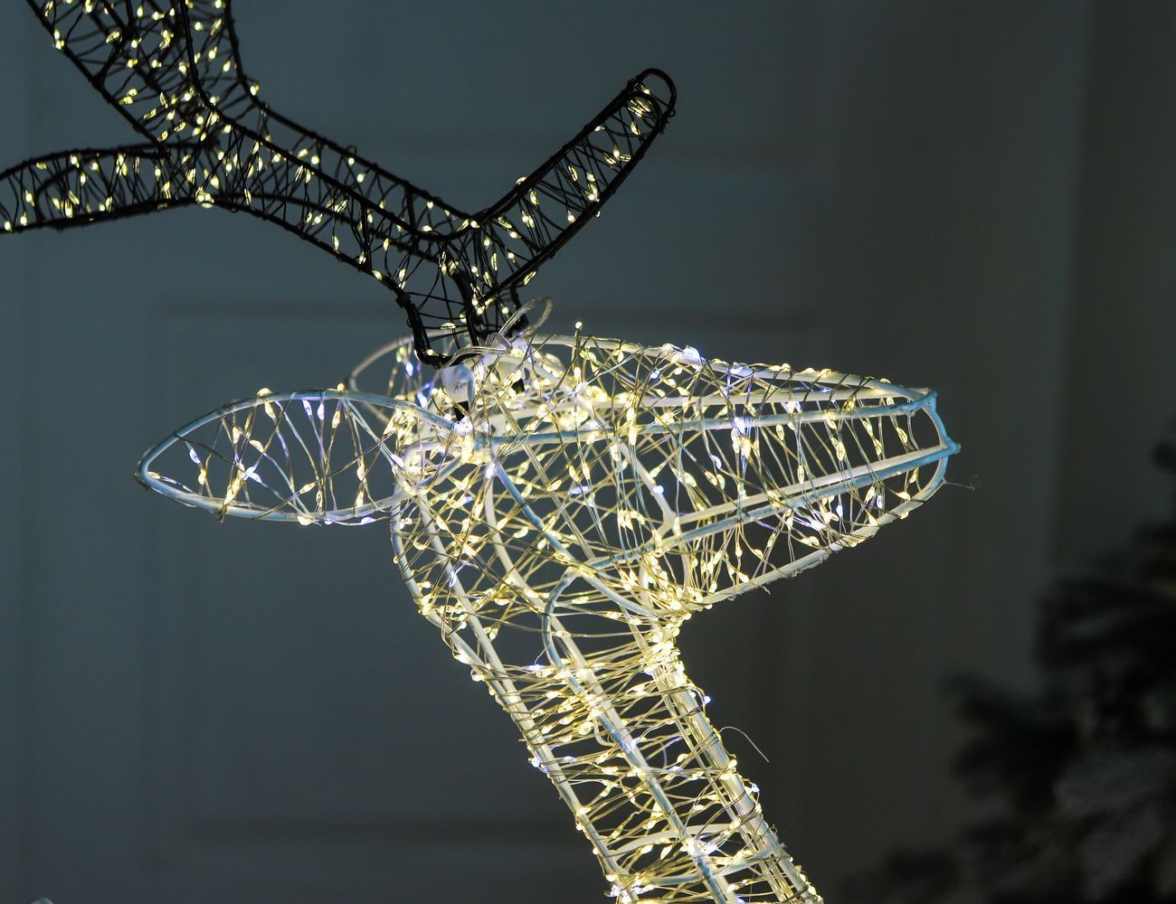 Увеличить фотографию