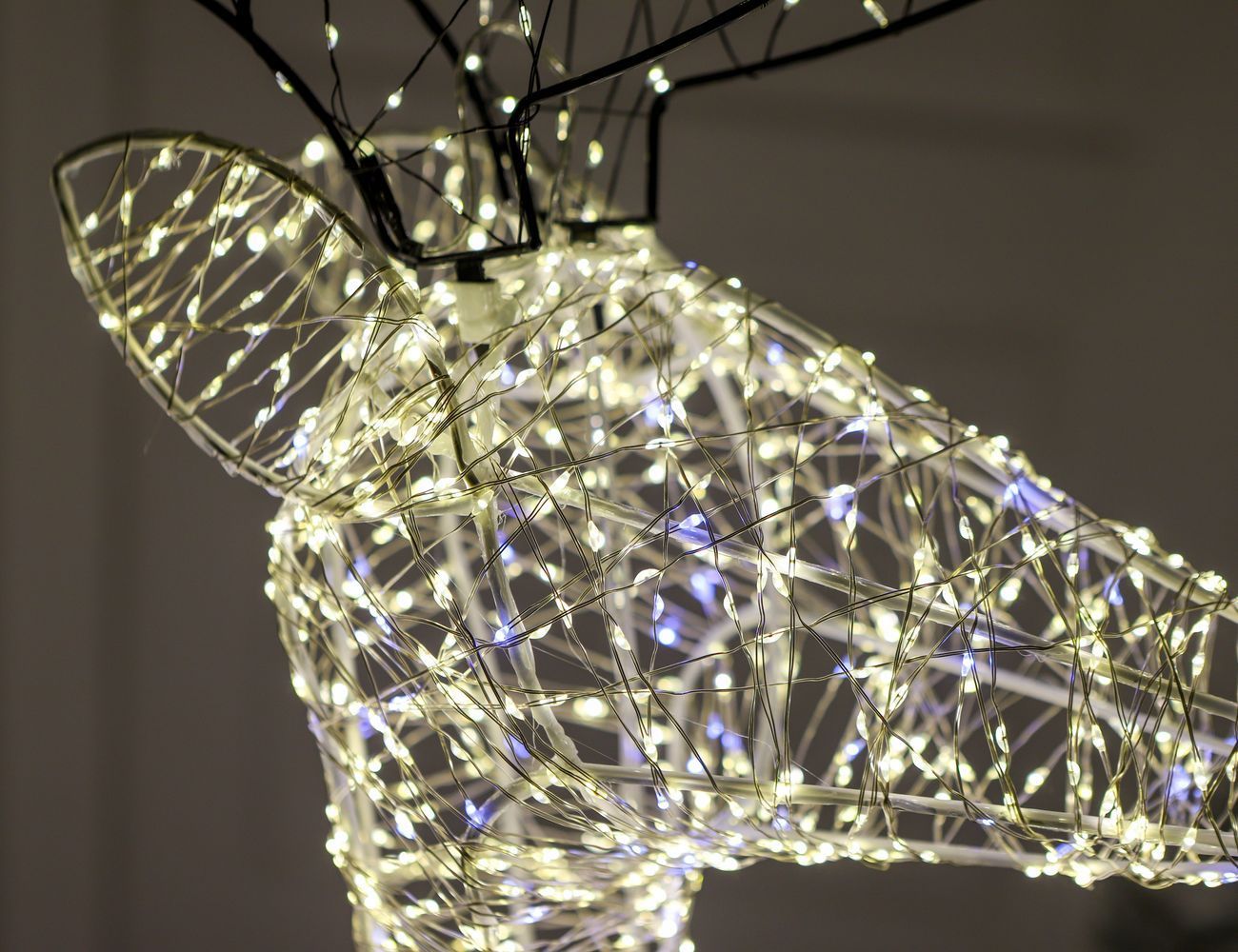 Увеличить фотографию