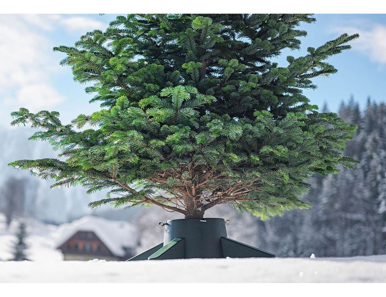 Увеличить фотографию