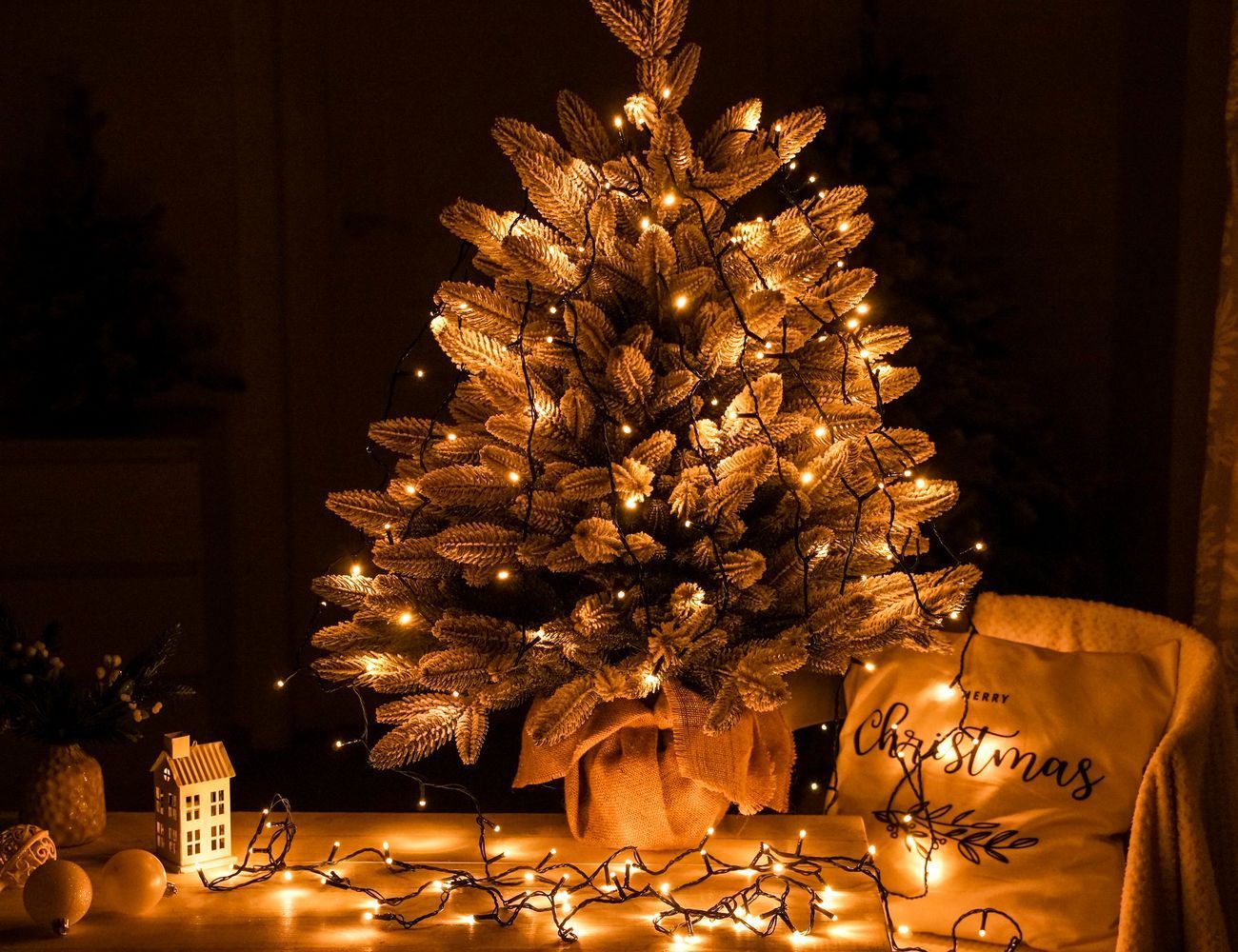 Увеличить фотографию