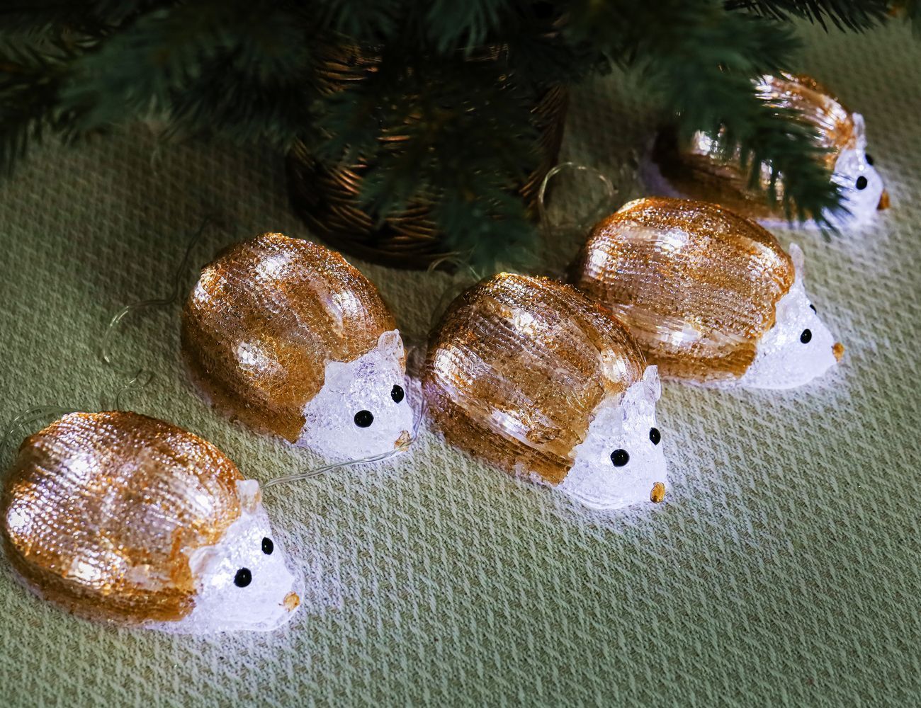 Увеличить фотографию