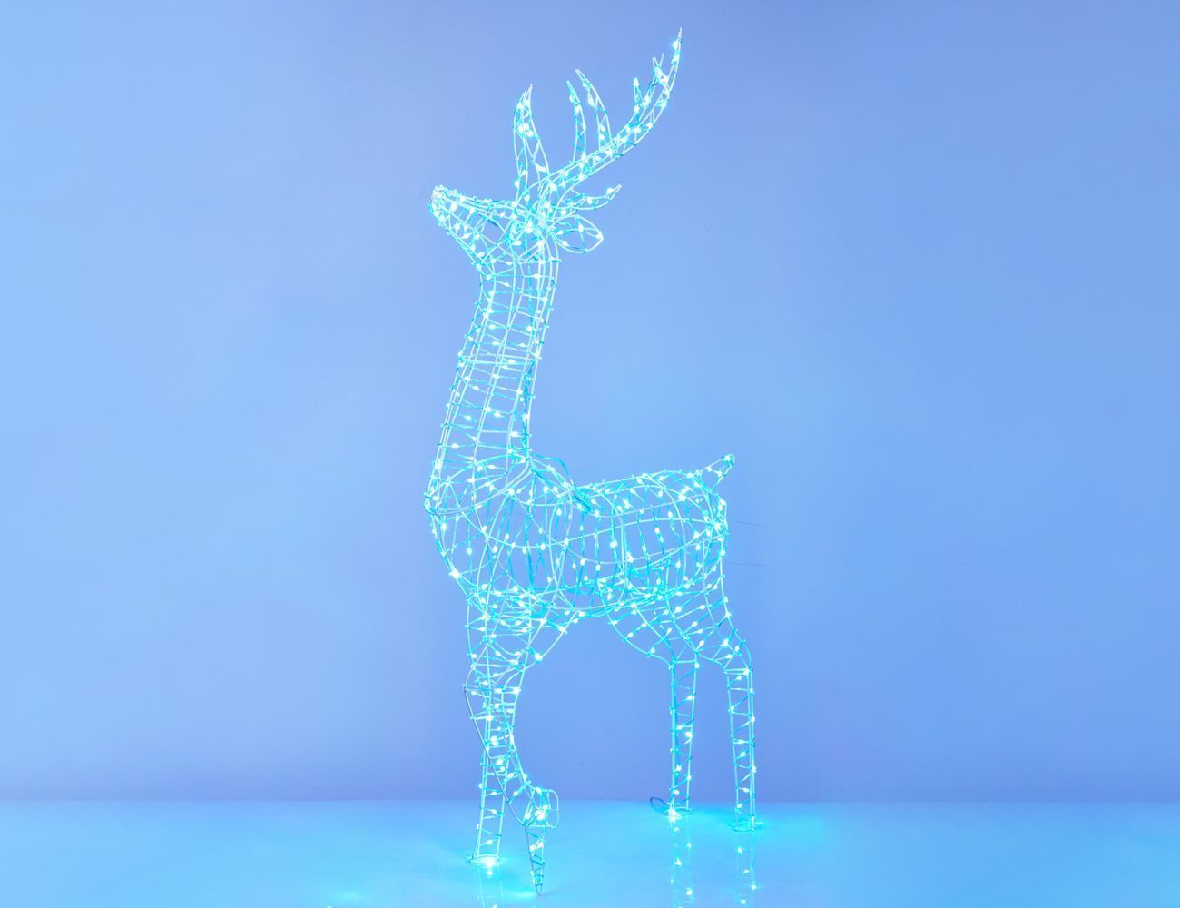 Увеличить фотографию