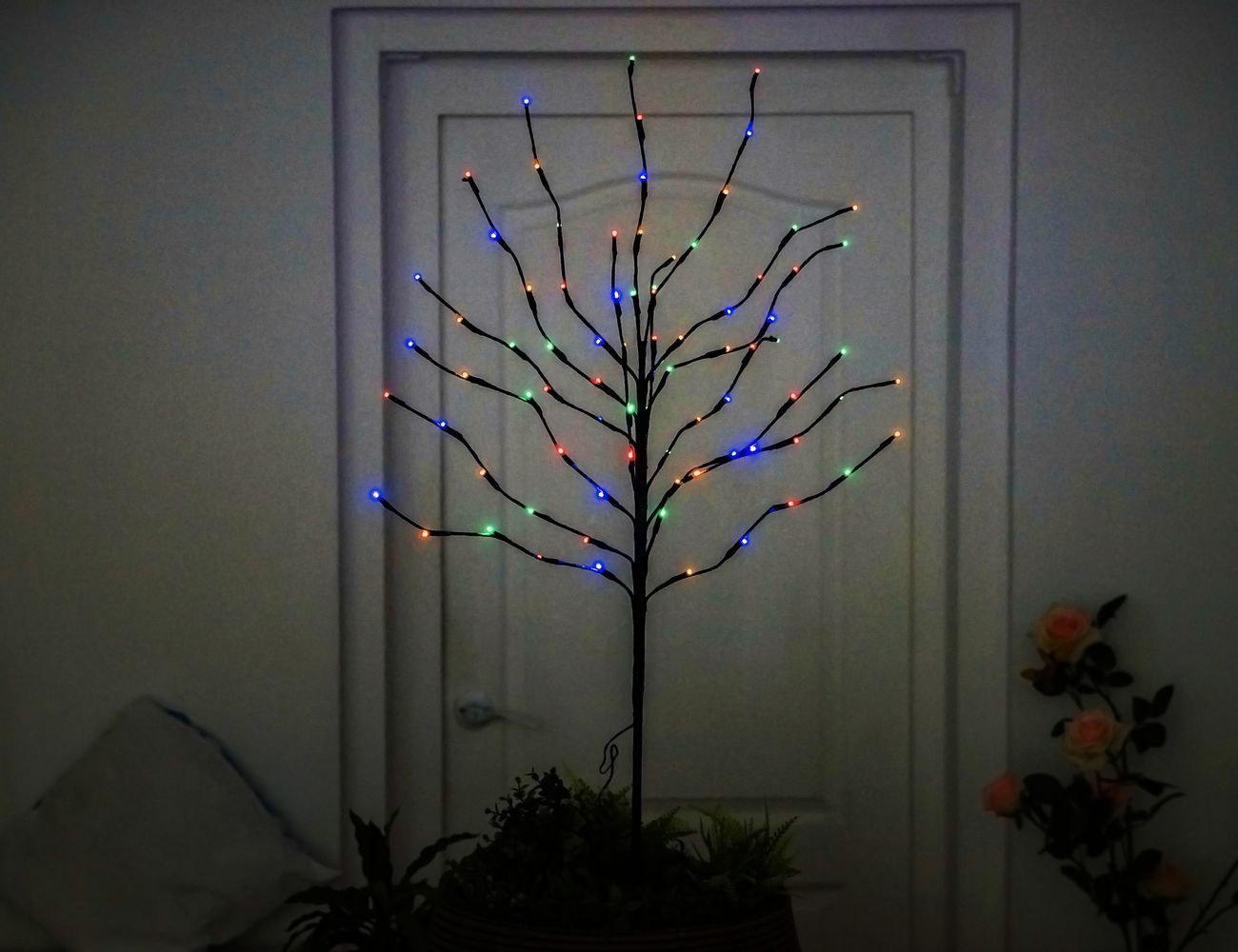 Увеличить фотографию