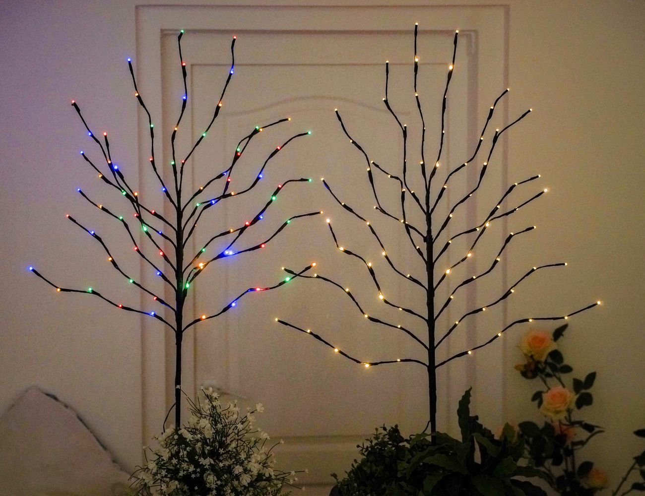 Увеличить фотографию