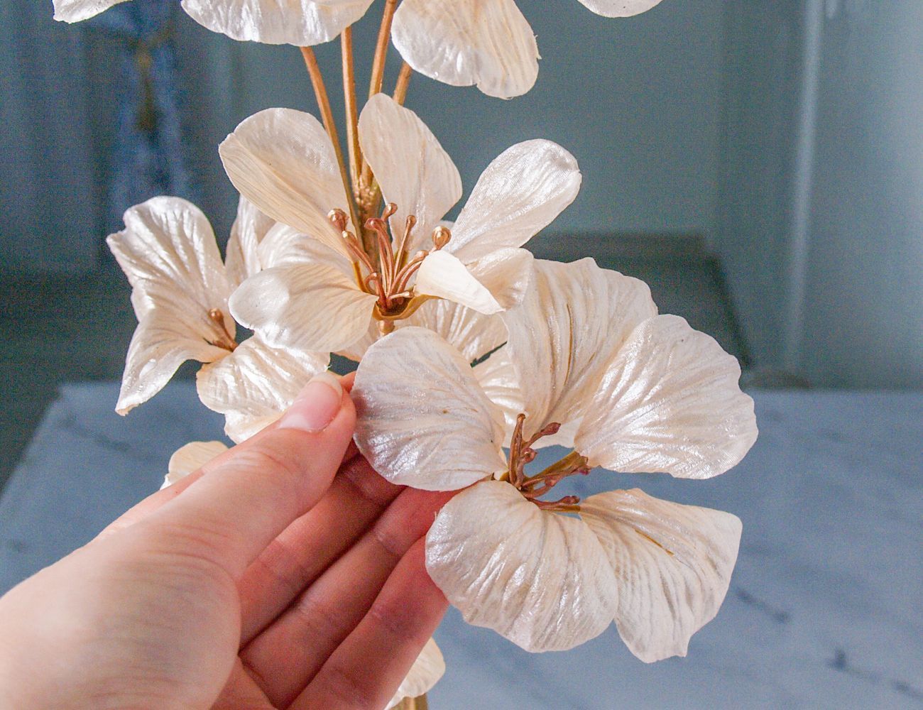 Увеличить фотографию