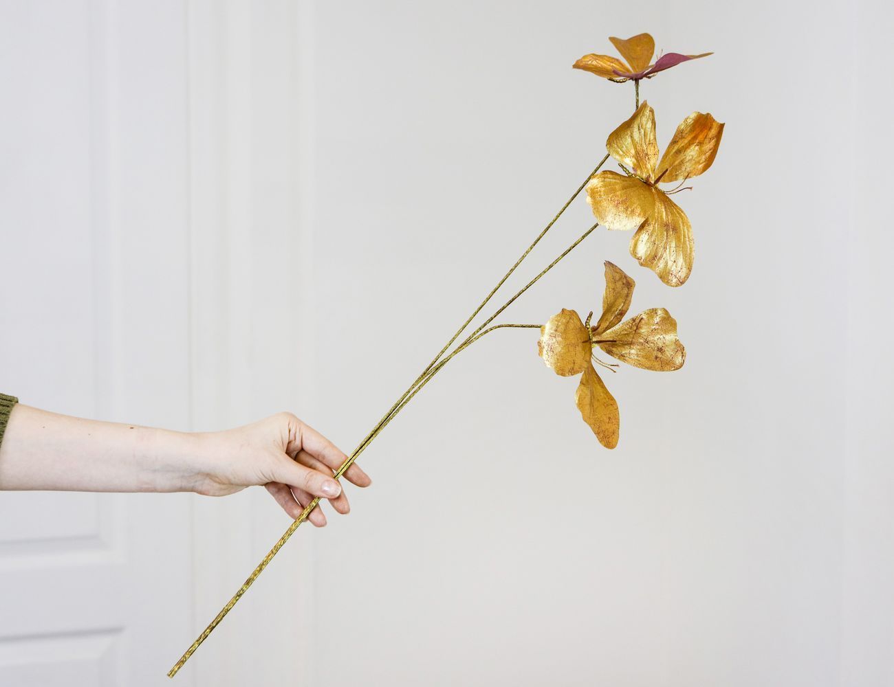 Увеличить фотографию