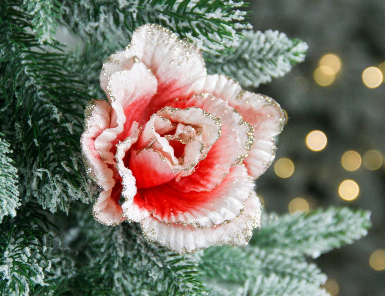 Увеличить фотографию