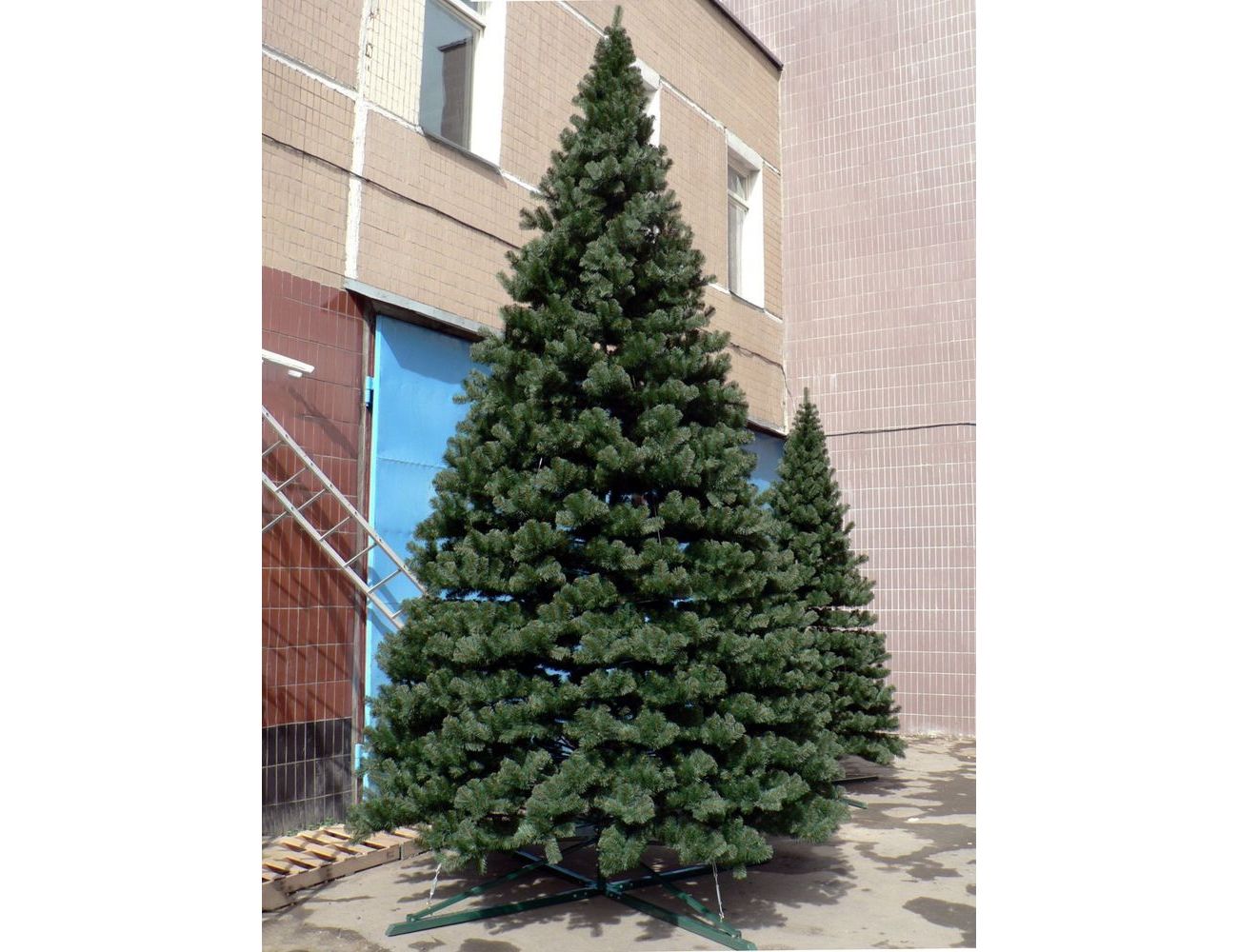 Увеличить фотографию