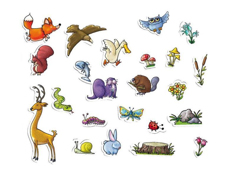 Увеличить фотографию