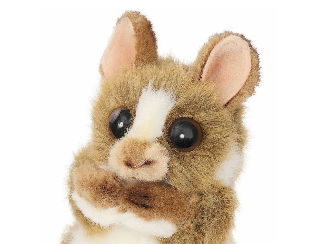 Увеличить фотографию