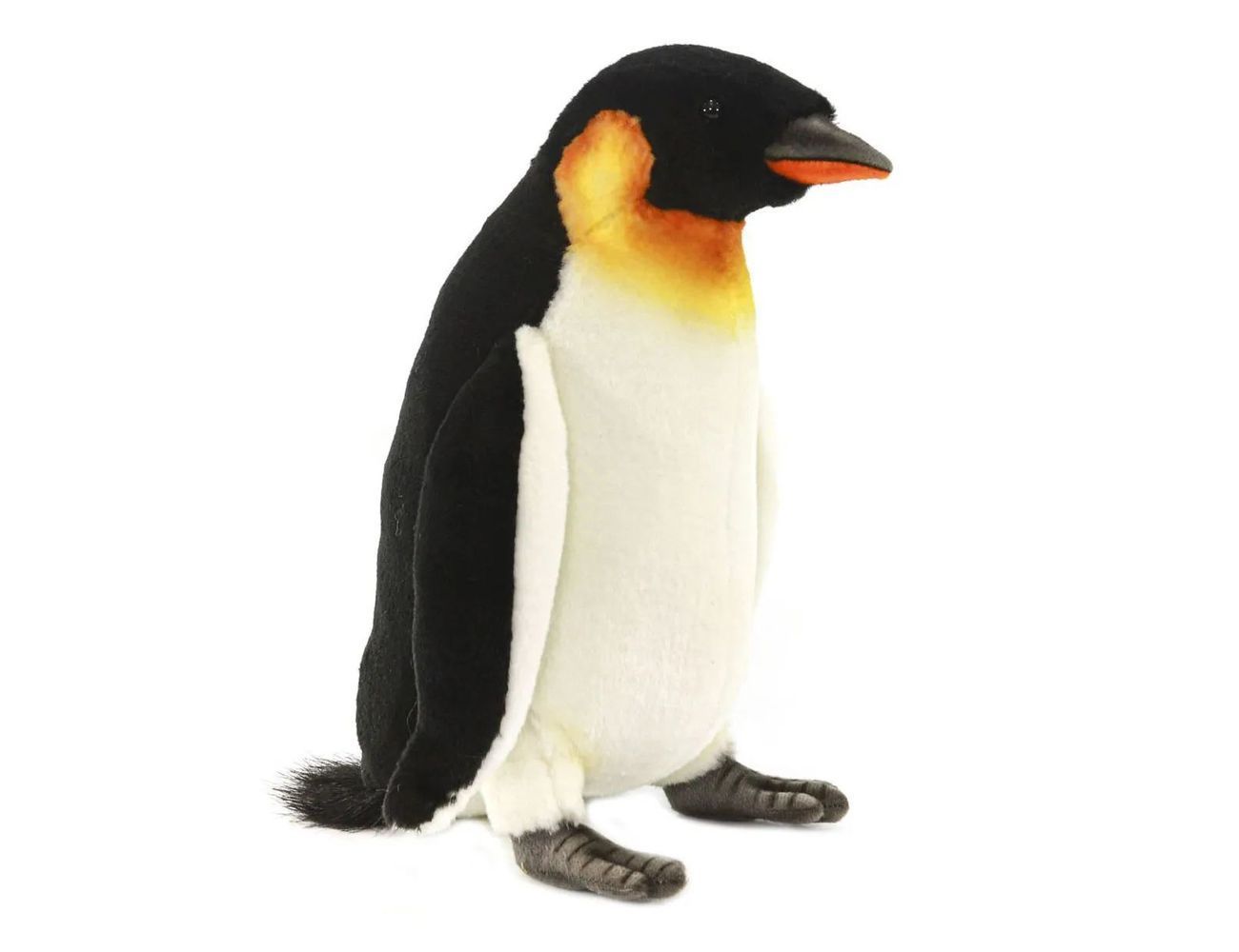 Увеличить фотографию