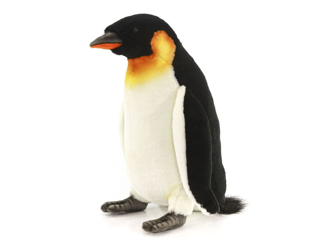 Увеличить фотографию