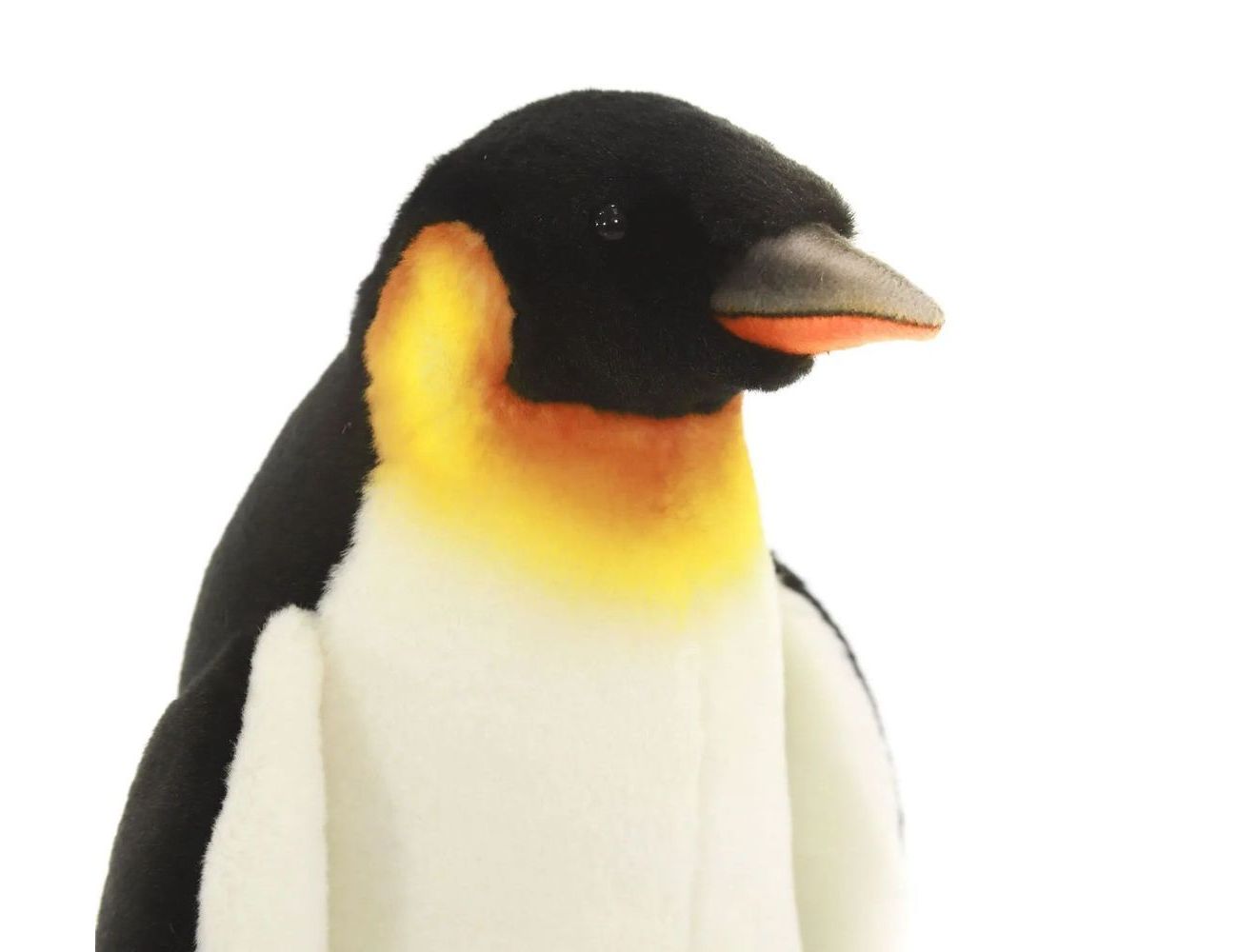 Увеличить фотографию