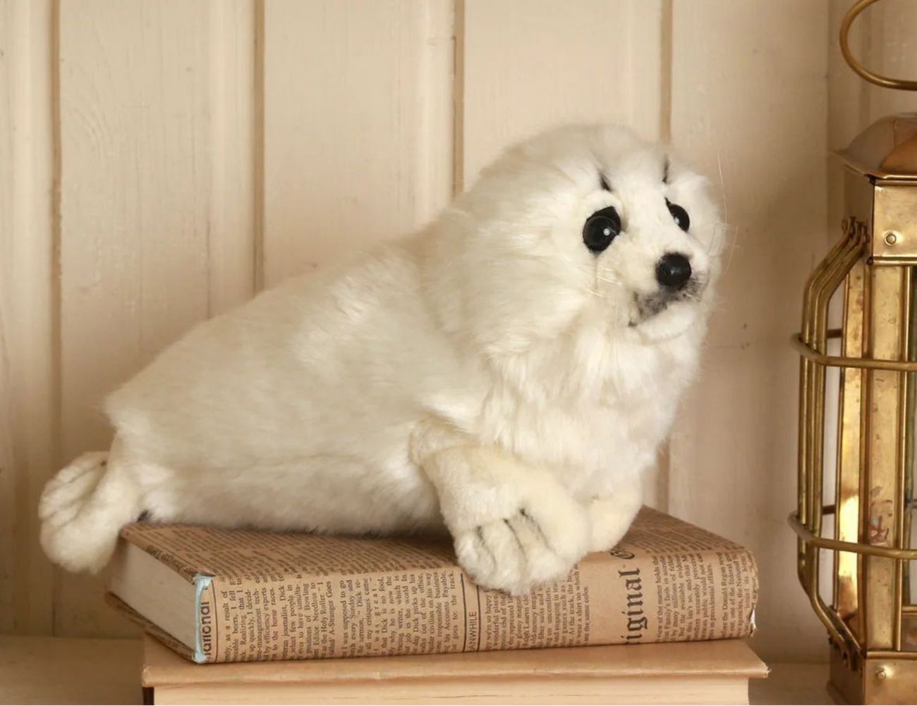 Увеличить фотографию