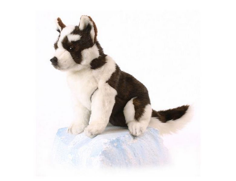 Увеличить фотографию