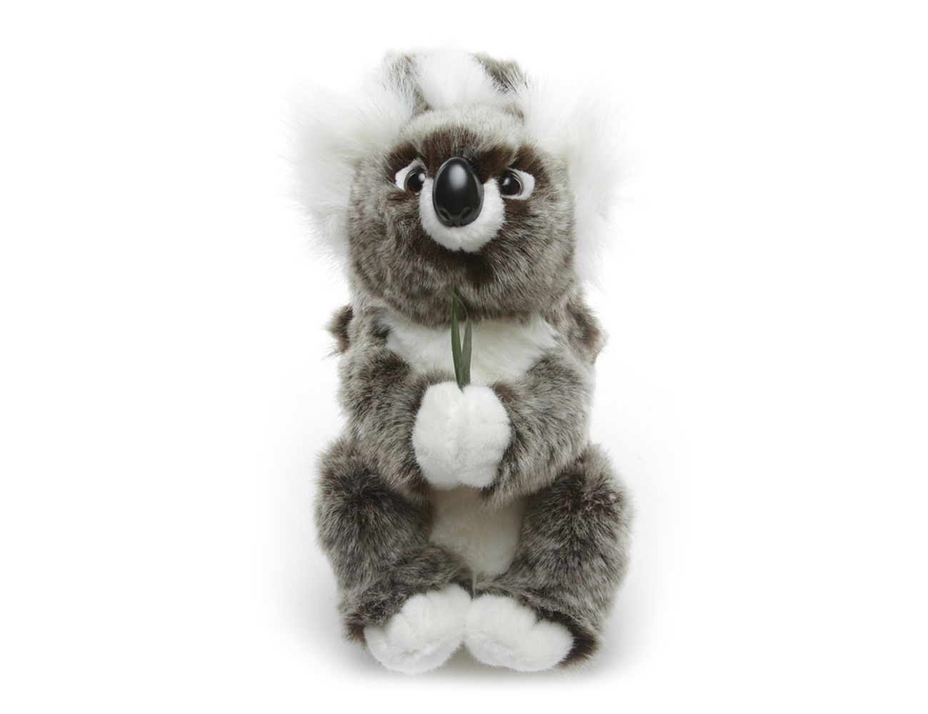 Увеличить фотографию