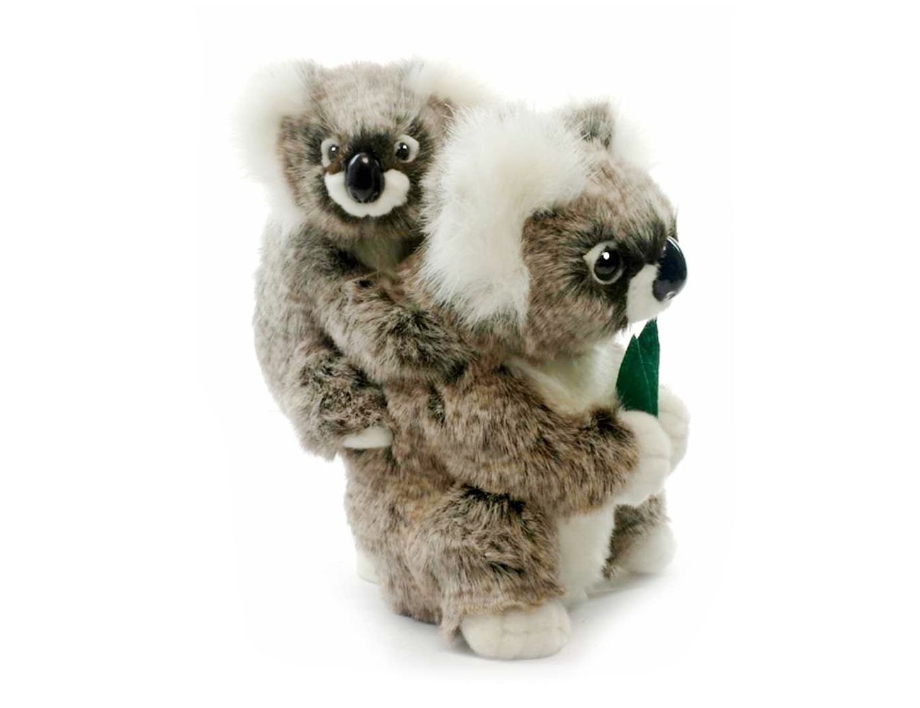 Увеличить фотографию