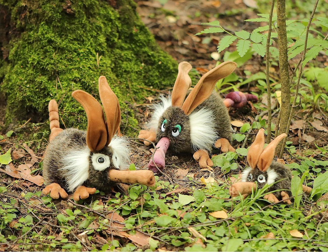 Увеличить фотографию