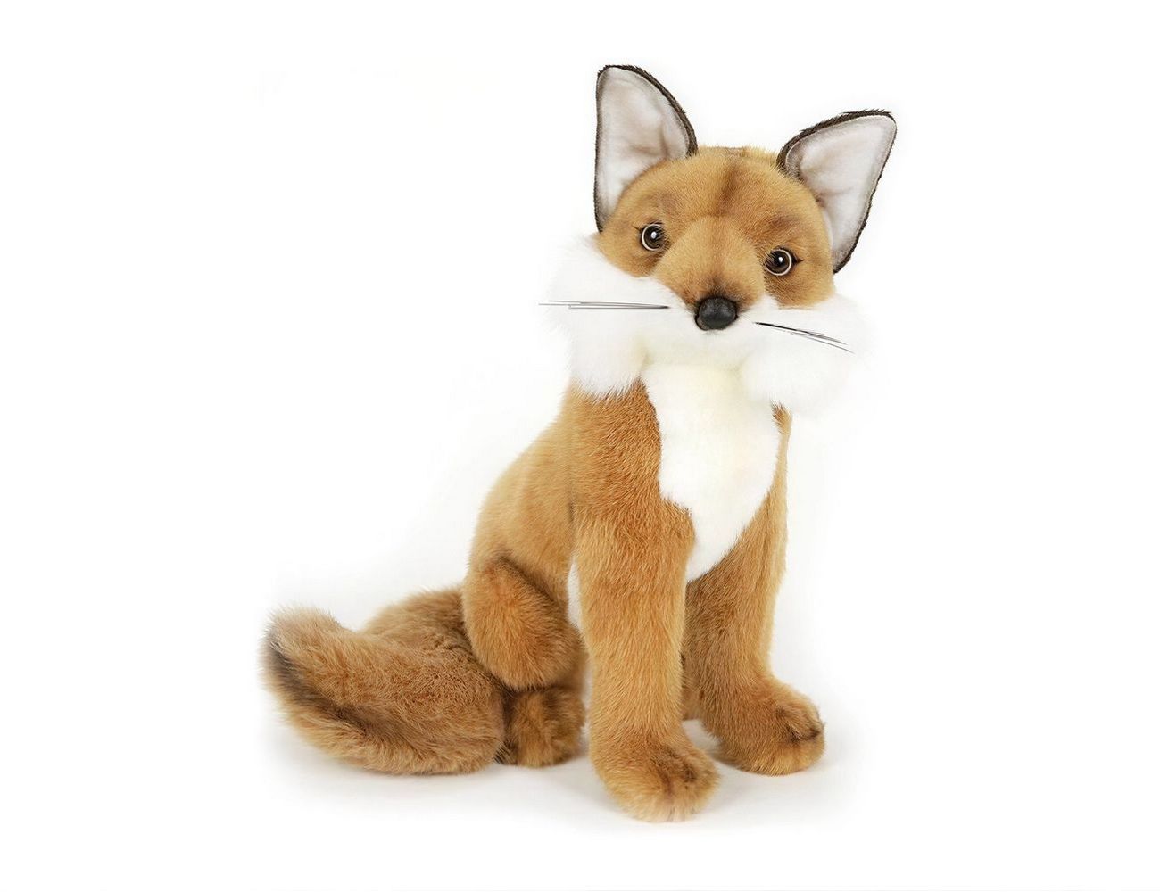 Увеличить фотографию