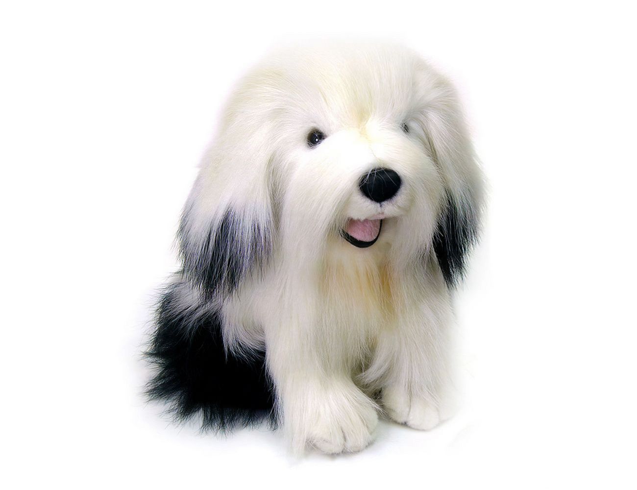 Увеличить фотографию