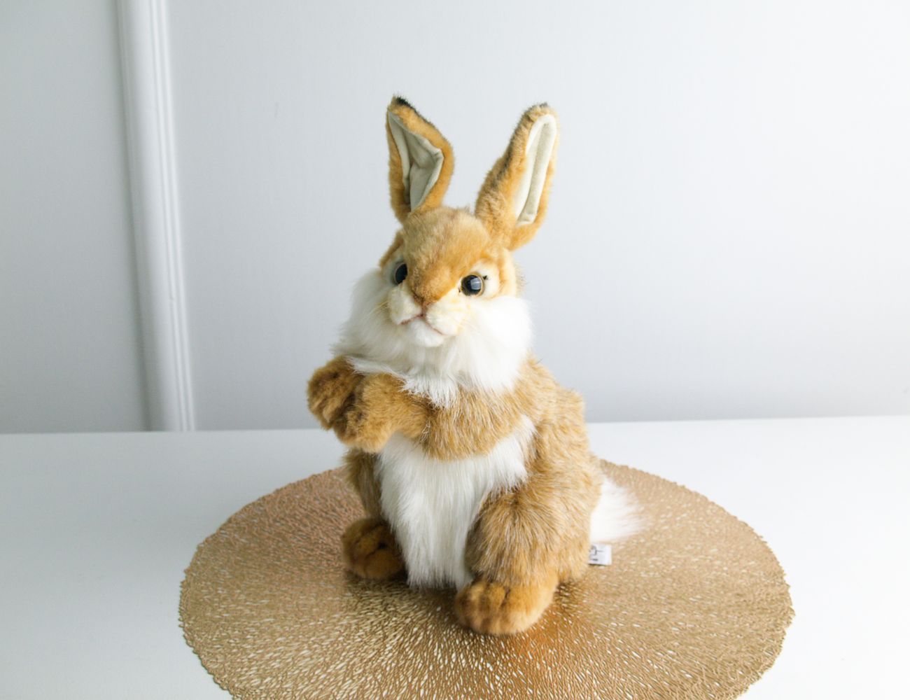 Увеличить фотографию