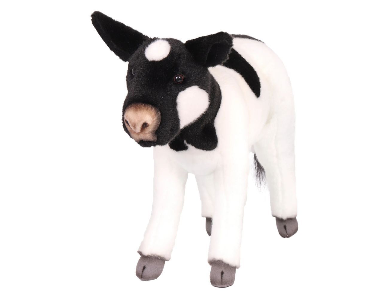 Увеличить фотографию