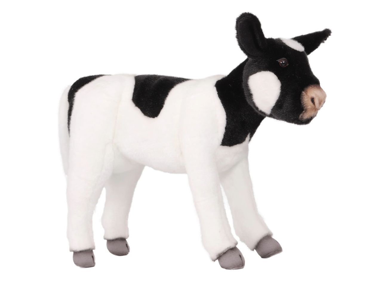 Увеличить фотографию