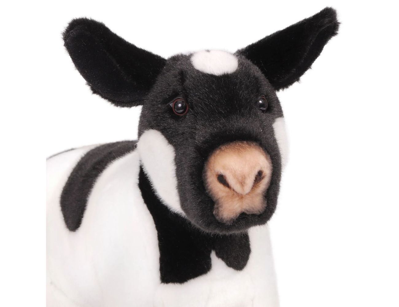 Увеличить фотографию