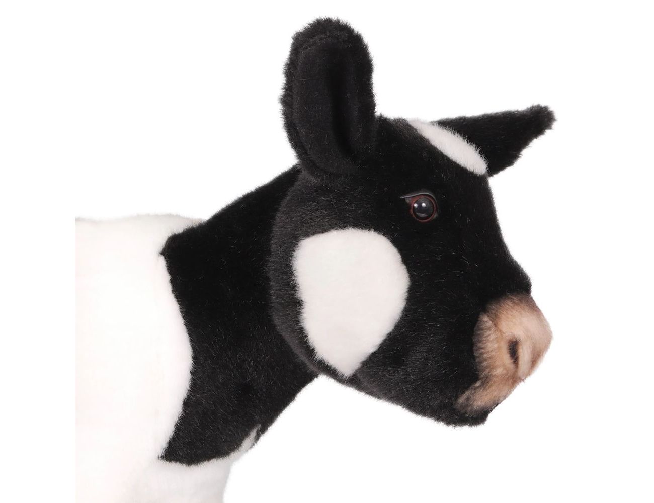 Увеличить фотографию